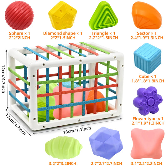 Baby Toys  Shape Sorter Baby Toys Early Learning Sensory Bin with 3 Soft Textured Balls